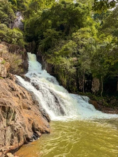 187_img_midle_portr_202601291214110cd46a7d195c.webp