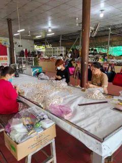 188_img_midle_portr_202601291913380cdc657c175f.webp