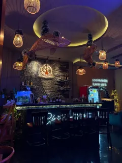 87_img_midle_portr_2025120518100425db7c0a25ad.webp